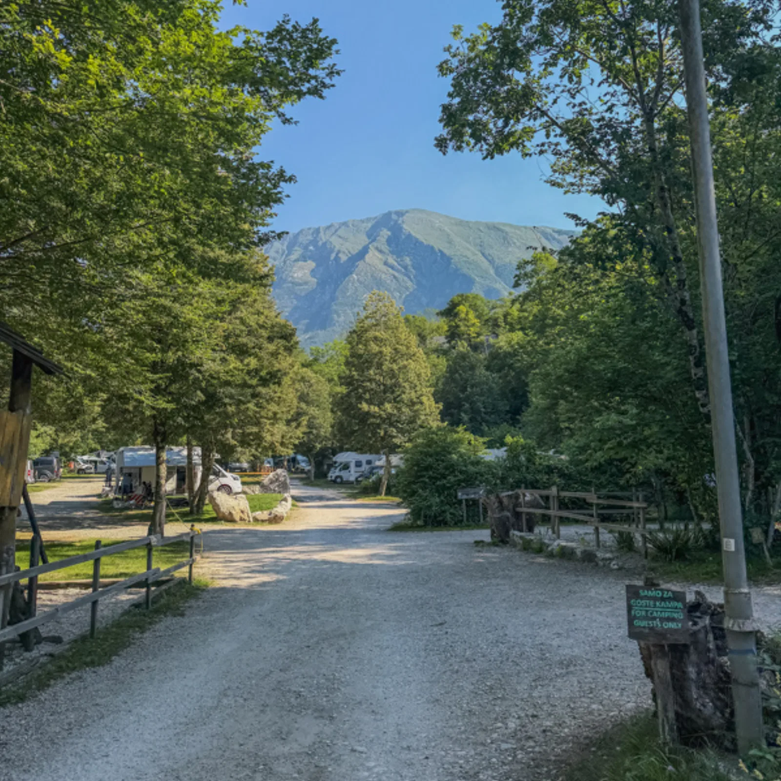 Tree-lined track through Kamp Koren with mountains rising behind