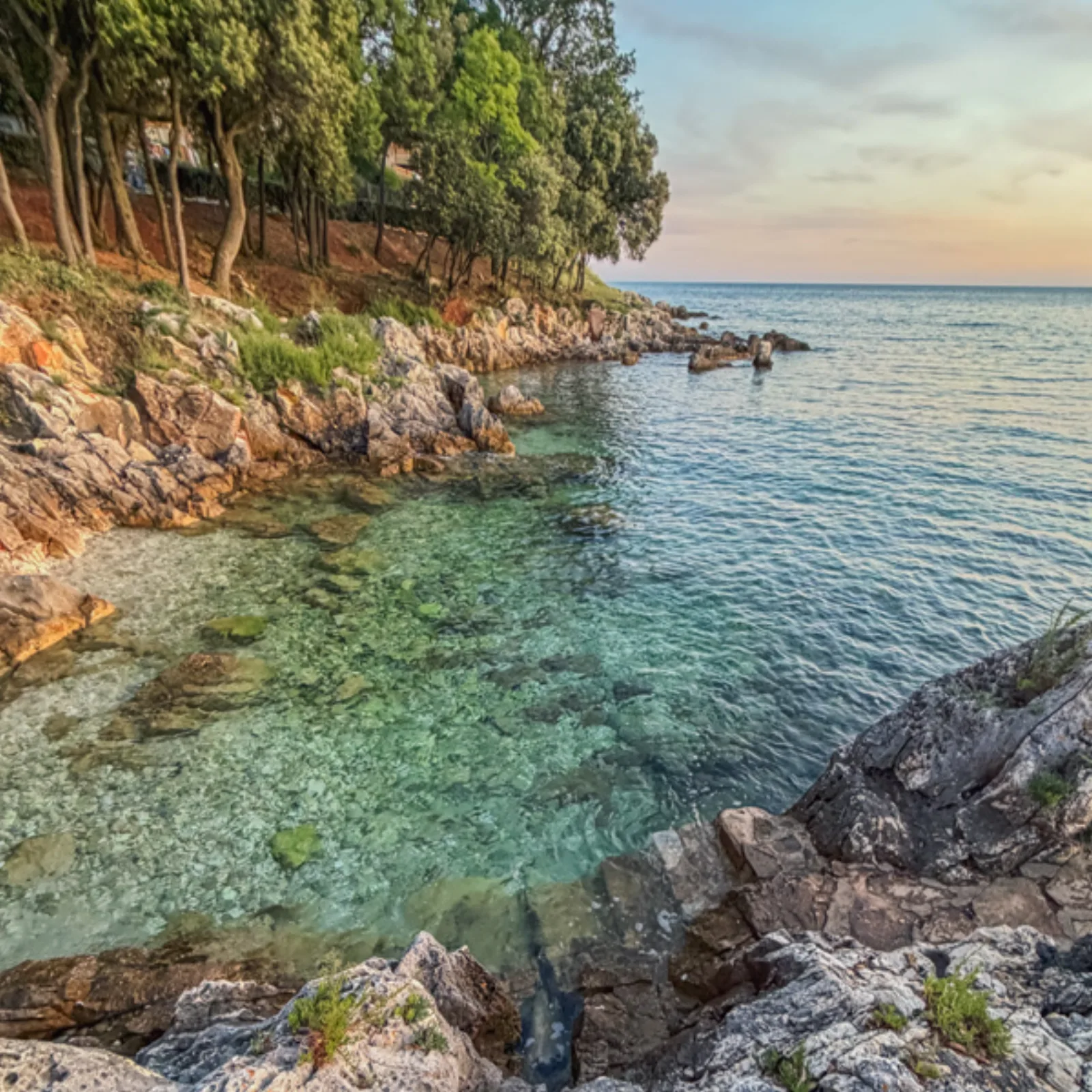 Rocky Croatian coastline and clear sea at sunset near Poreč